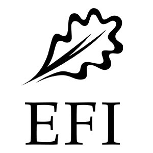 EFI